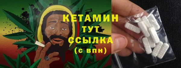 индика Новодвинск
