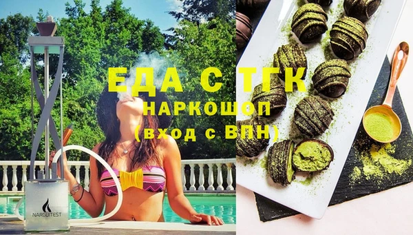 индика Новодвинск