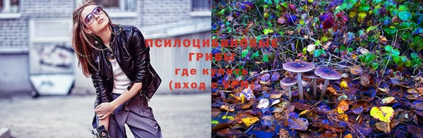 таблы Бронницы